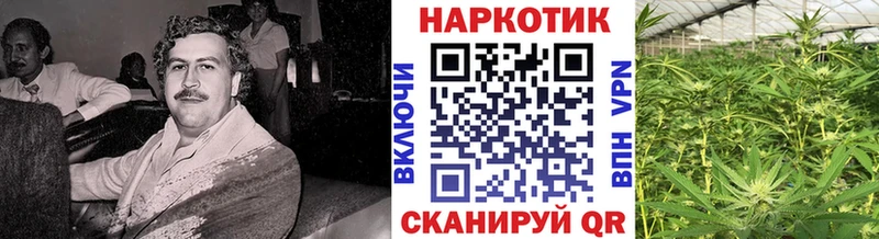 Как найти наркотики Красноуфимск Гашиш Кокаин Мефедрон APVP Каннабис