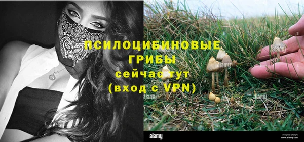 дмт Алзамай