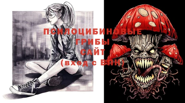 дмт Алзамай