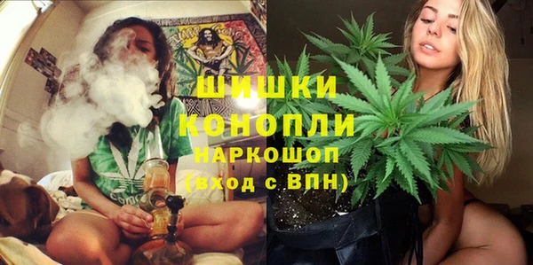 дмт Алзамай
