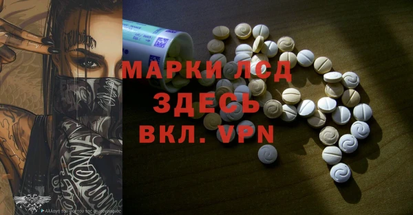 дмт Алзамай