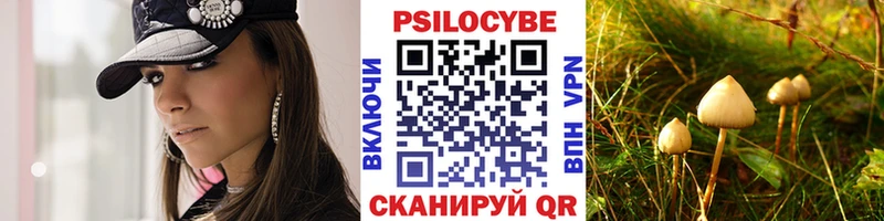 Галлюциногенные грибы Psilocybe  Красноуфимск 